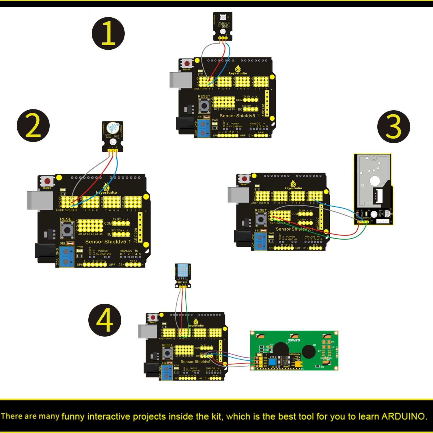 62bb64e343.jpg